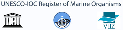 URMO logo