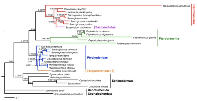 Figure 3 from Cannon et al. 2009