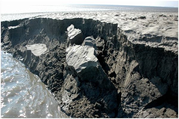 Cliff erosion of an intertidal mudflat in the Western Scheldt Estuary.jpg