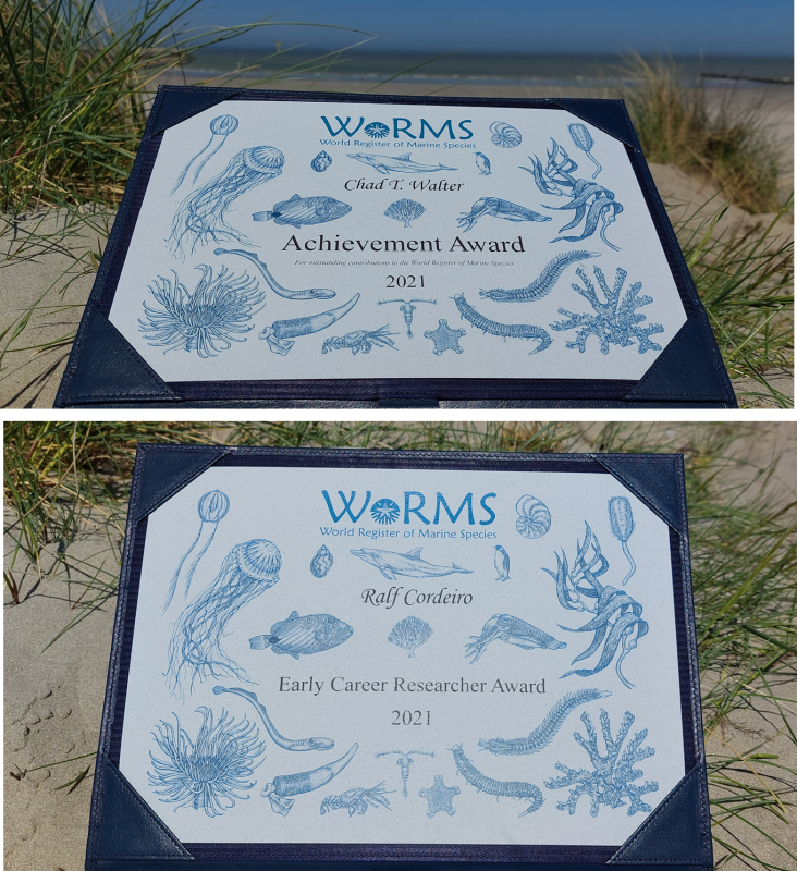 Awardees for the 2021 WoRMS Achievement & Early Career Researchers Award known