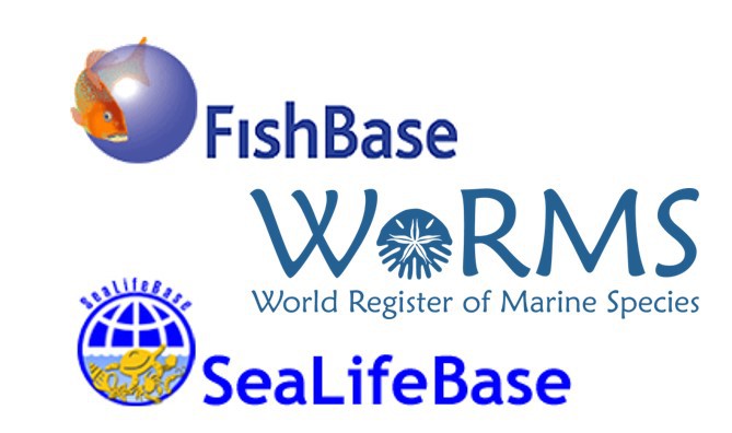 WoRMS, FishBase and SeaLifeBase sign a Memorandum of Understanding