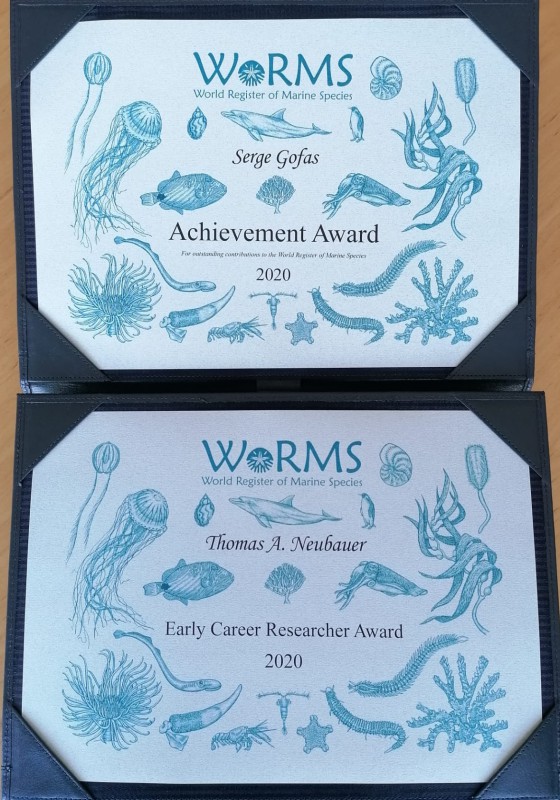 Awardees for the 2020 WoRMS Achievement & Early Career Researchers Award known