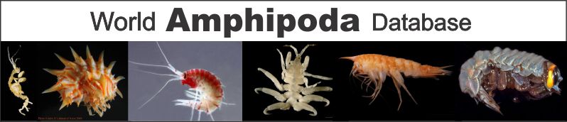 Amphipoda Logo