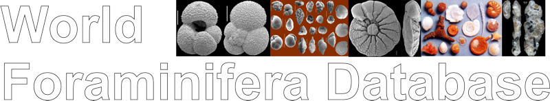 Foraminifera Logo