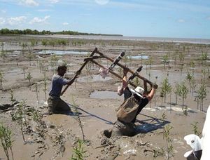 Fluid mud at the Suriname Coast..jpg