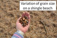 Variation of grain size on a single beach.jpg