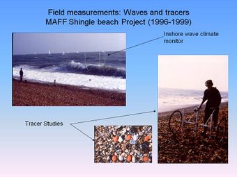 Field measurements waves and tracers.jpg