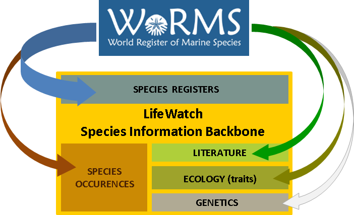 Species information