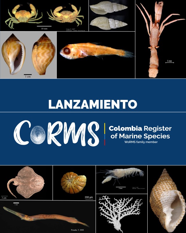 INVEMAR launches the Colombia Register of Marine Species to enhance knowledge of the country