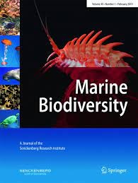 Tackling Temporary Names in WoRMS: Interim Solutions for the Taxonomic Impediment