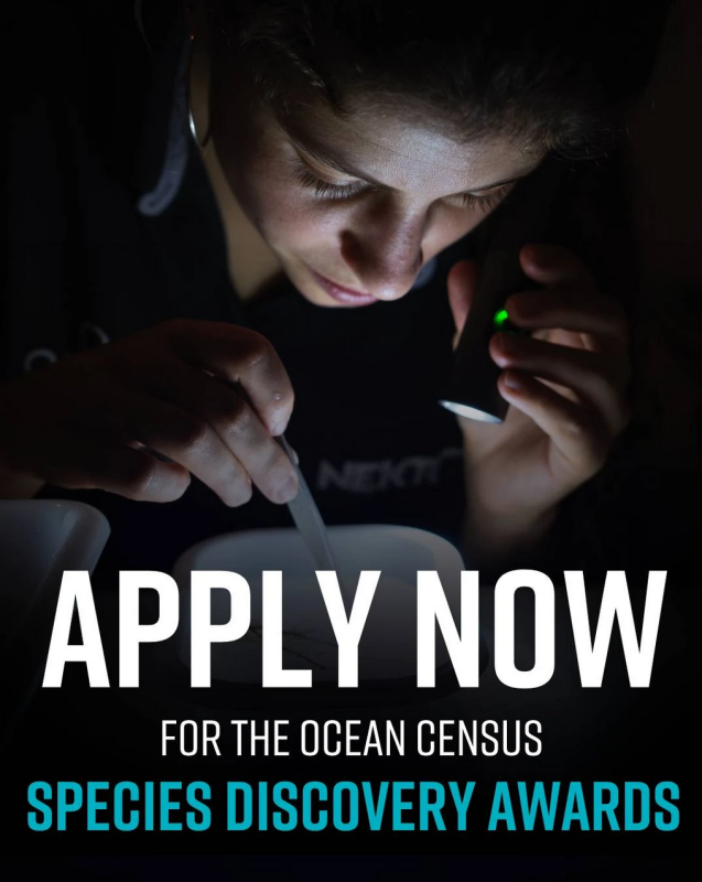Applications for the Ocean Census Species Discovery Awards 2026 are open