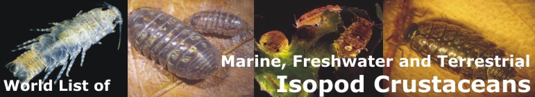 Isopoda Banner