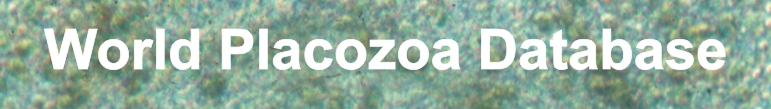 placozoa-banner