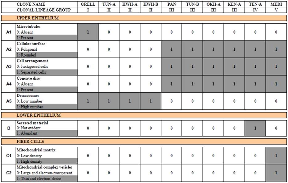 table 1